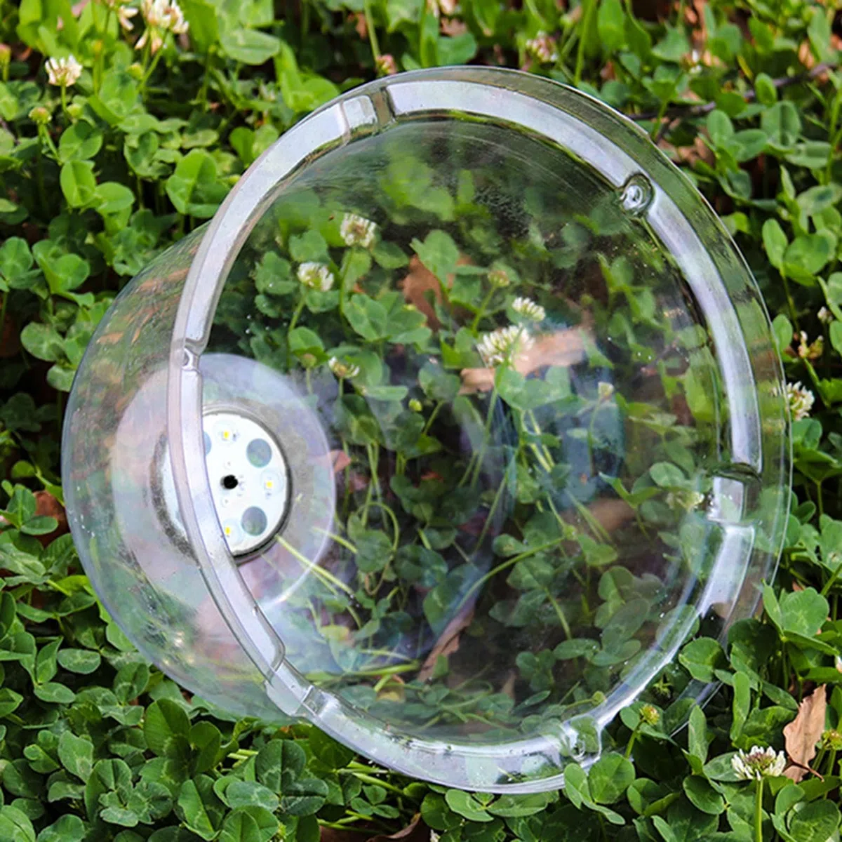 10 Pièces Cloche pour Pla-ntes De Jardin - Couvercle De Cloche De Dôme De Plan-Te, Plan-Te Succulentes Couvercle Jardin Cloche Dôme, Dômes D'humidité Réglables pour Plan-Te Serre