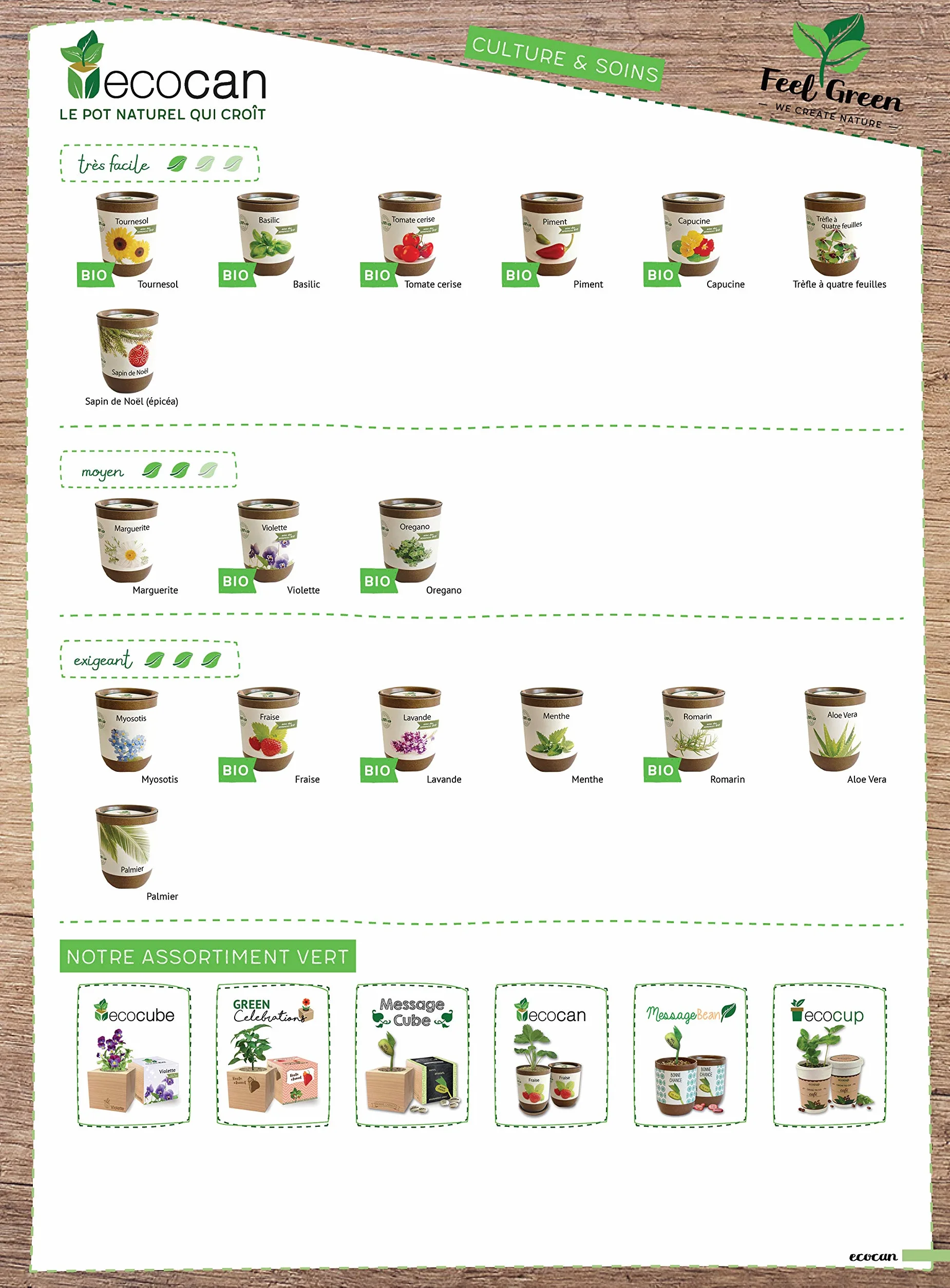 Feel Green Ecocan, Aloe Vera Exotics, Idée Cadeau (100% Biodégradable), Grow-Your-Own/Kit Prêt-à-Pousser, Le Pot Écologique Qui Croît 9 x 7 cm, Produit en Autriche