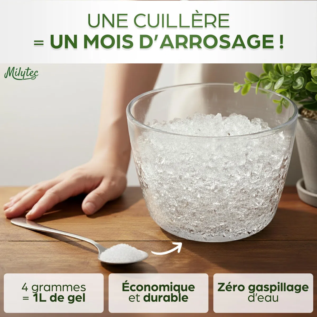 Granulés Gel Rétenteur d’Eau pour Plantes | Arrosage Automatique Pendant Les Vacances | Intérieur et extérieur | E-Book Offert | Sachet de 500 g | Convient pour 600 litres de terreau