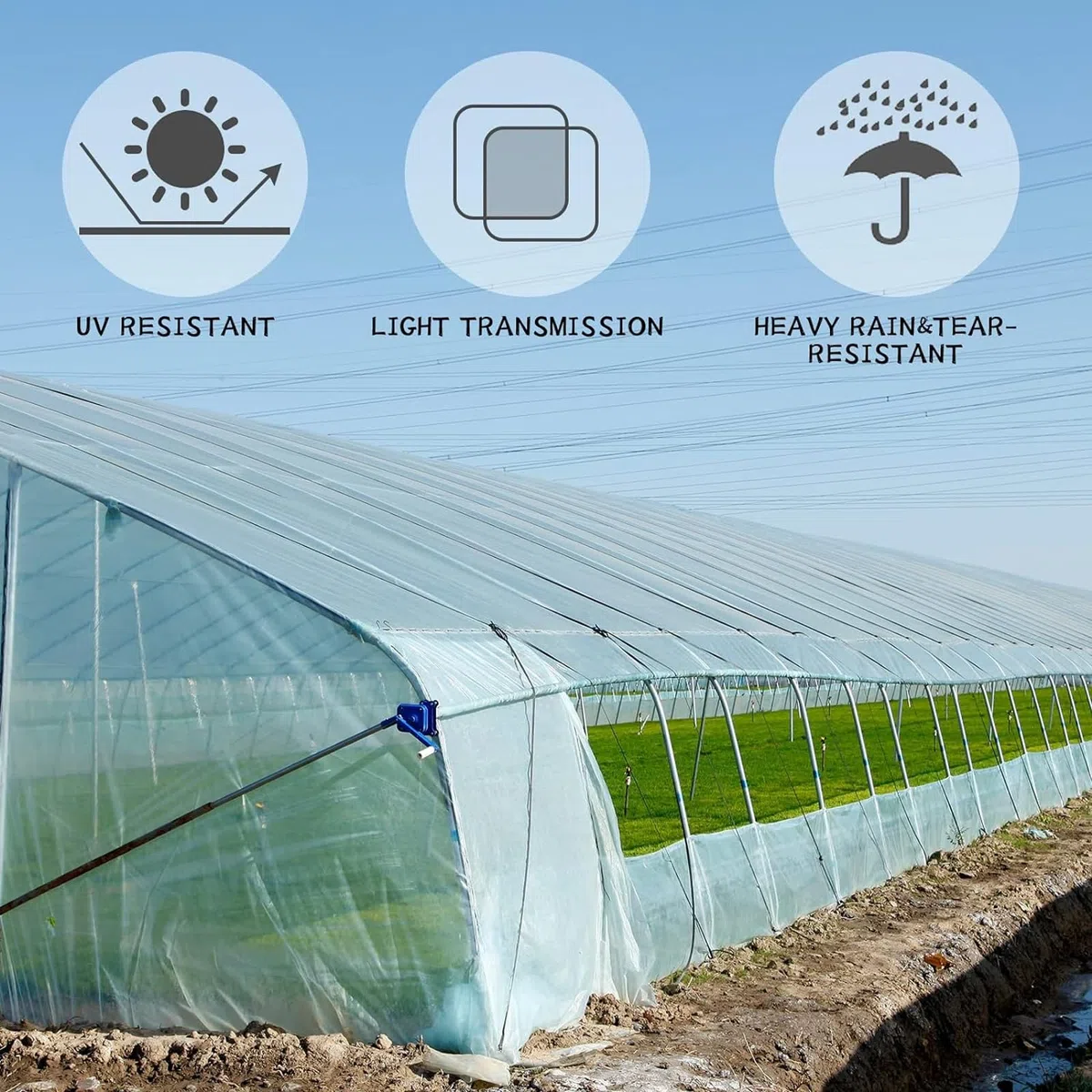 DAZZTIME 3x6M Bâche de Protection en Polyéthylène,Film à Effet De Serre,Bache Plastique Transparente,Résistant Couverture de Polytunnel,pour Protection Serre de Plante de Jardin(200Mu/1000G)