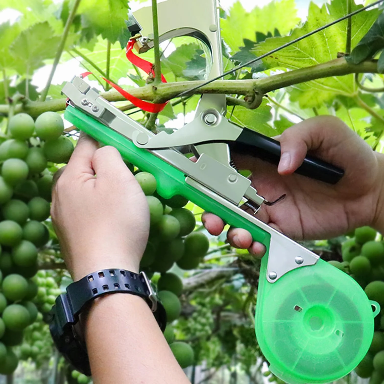 Ruban adhésif pour ligneuses végétales, outil avec 20 rouleaux de ruban, 1 boîte d'agrafes, rubans pour machines à attacher plantes de jardin pour tailler les légumes