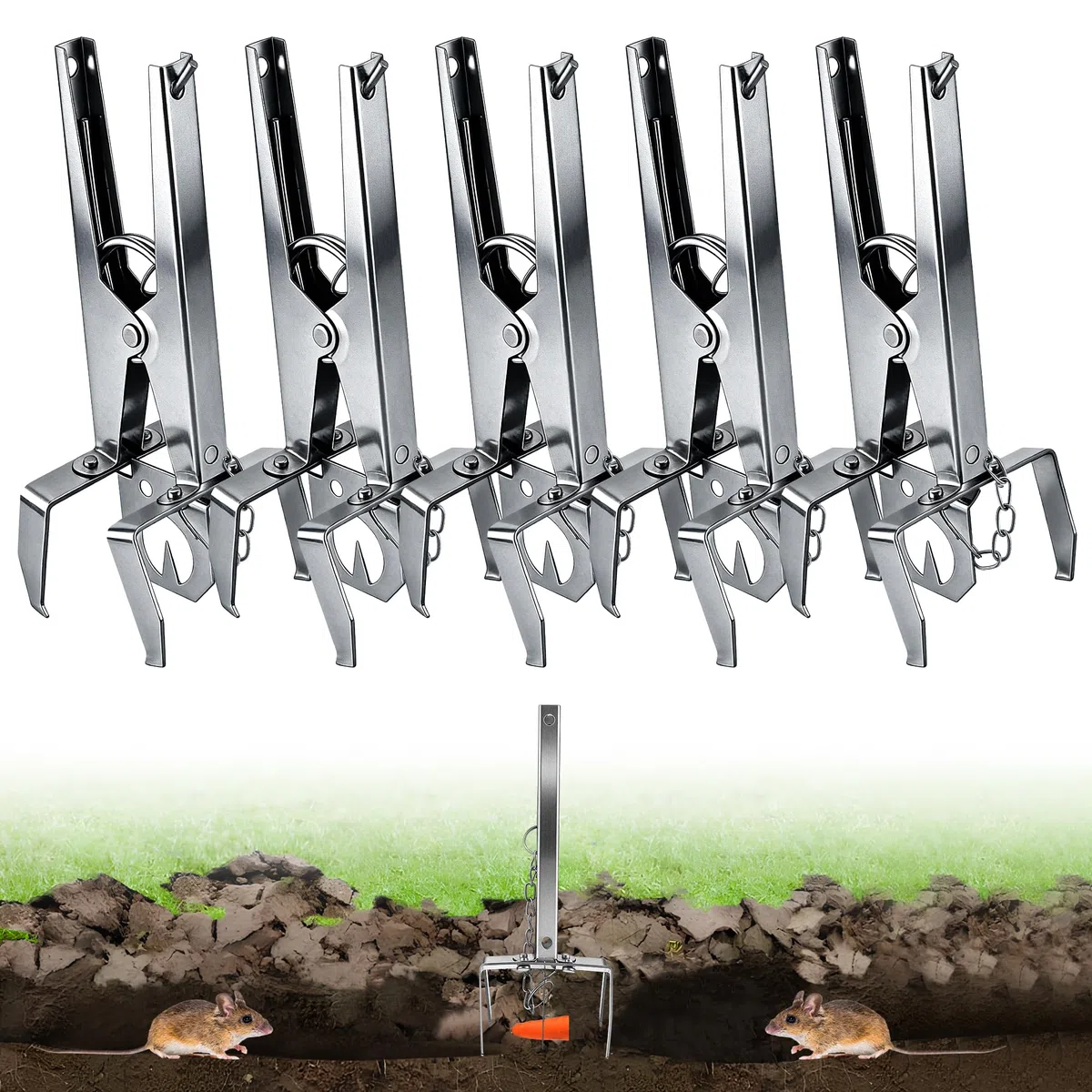 Enhon Piège à campagnols 5 pièces avec chaîne - Pointu et réutilisable - Piège à campagnols à Clips - Capture Double Face | Piège à campagnols Efficace pour Jardin et pelouse
