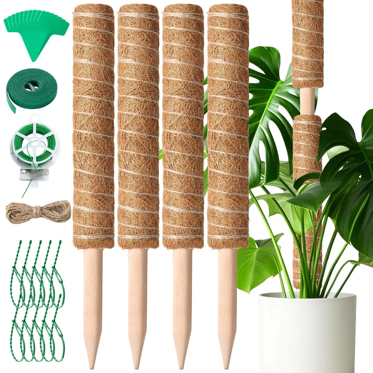 Mactoou Tuteur Monstera, 4 Pièces 41cm Tuteur Coco, Extension Sphaigne Jusqu'à 120cm, Tuteur Plante Grimpante pour Monstera Maison Jardin de Support de Plante