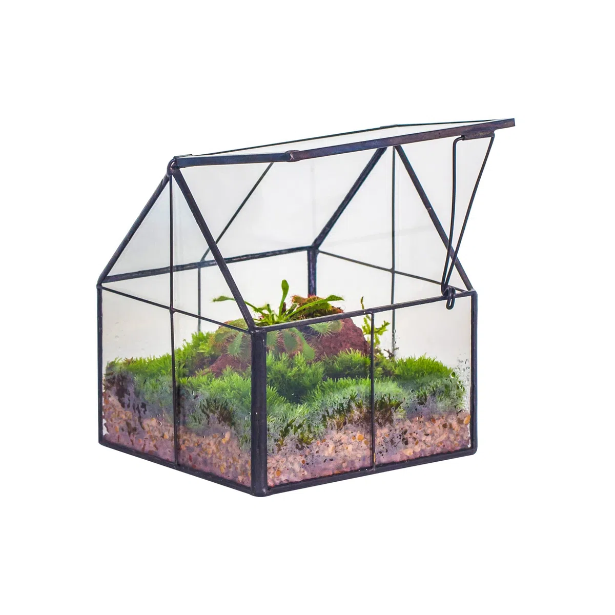 NCYP 10,8x10,8x12,5 cm Mini Noir Terrarium Géométrique en verre avec couvercle Fait à la main, Pour petites plantes succulentes, Décoration de table pour la maison jardin bureau (Terrarium Uniquement)