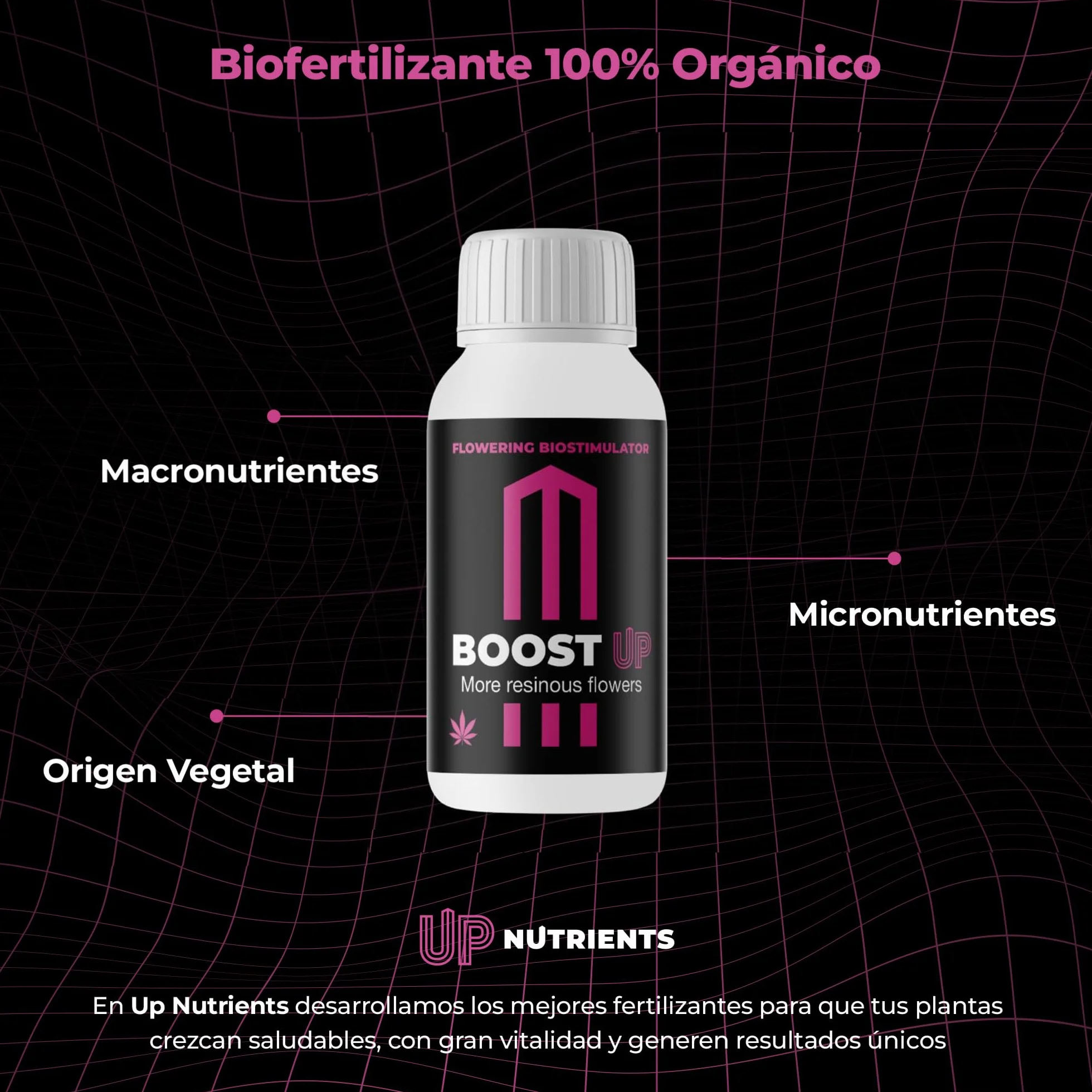 GROWMANIA Top Max de BioBizz 500 ml + Probe Boost Up de Up Nutrients + Cuillère à mesurer | Stimulateur de fleurs pour jardins urbains | Augmente la quantité et la taille des fleurs