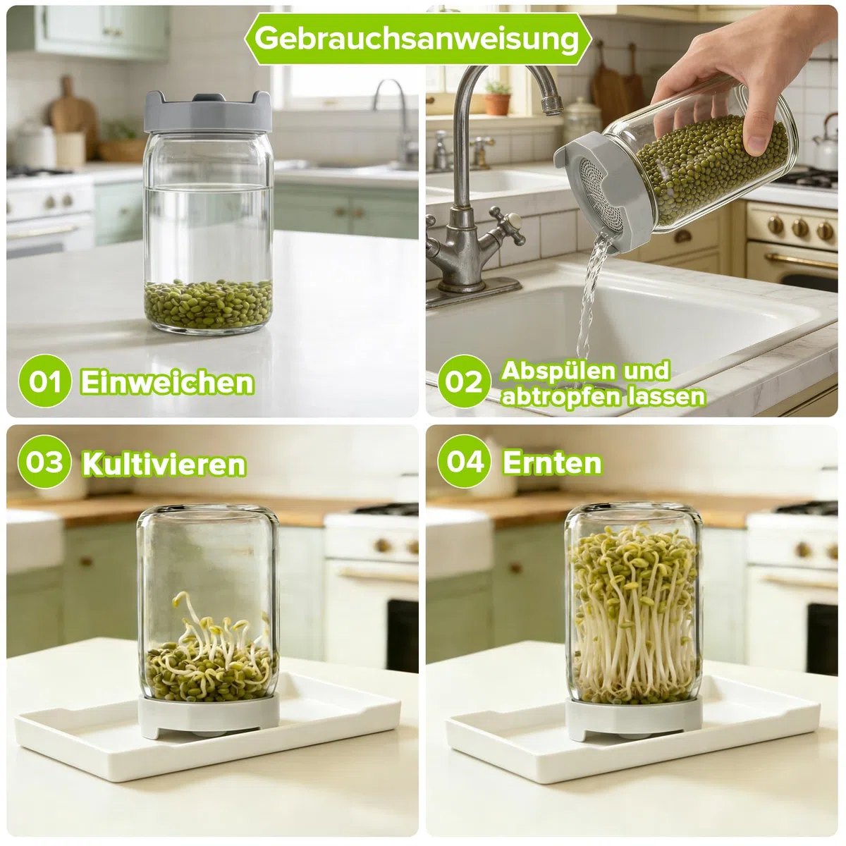 Lot De 3 Bocal De Germination, 900ml Pots Mason à Large Ouverture Couvercles De Germination, Pots De Germination Lot, Plateau à éGouttage Et Brosse Nettoyage, pour La Luzerne Potager Familial