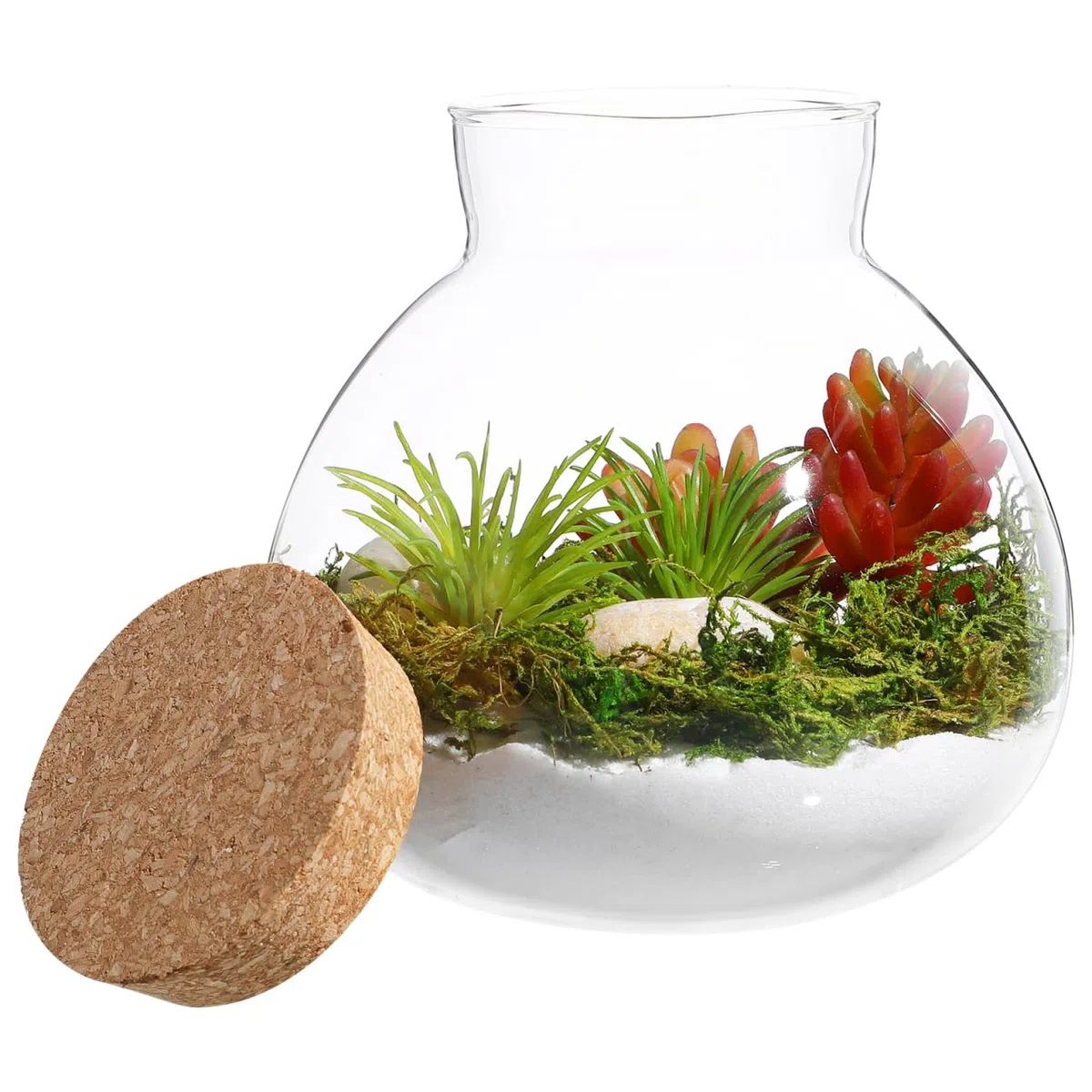 DOITOOL Pot rond en verre pour terrarium, plantes succulentes, bourgeons, vase à vœux, bouteille avec couvercle en liège, pot à bonbons, pot en verre pour fougère, mousse, plantes succulentes