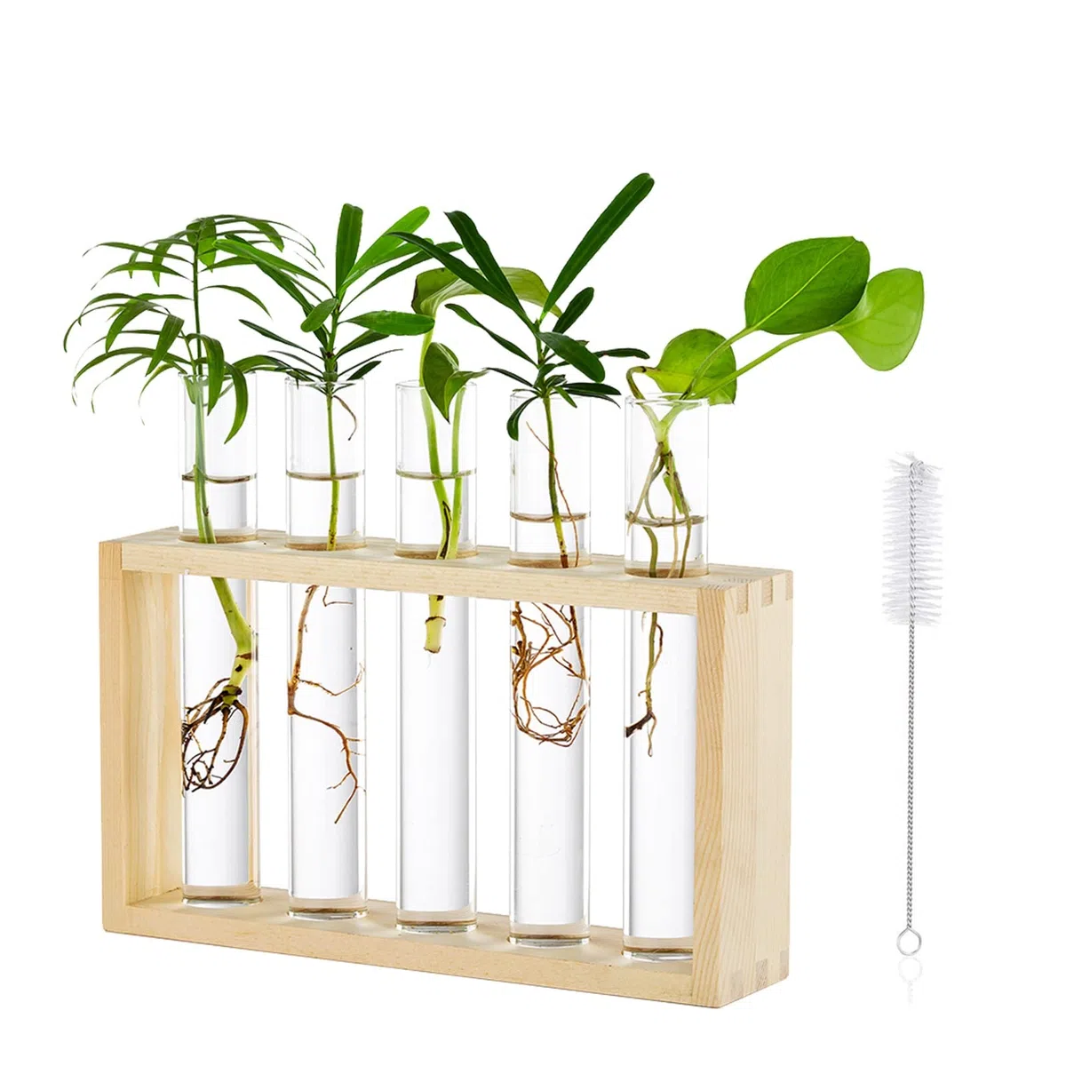 Tenture Murale en Verre Planteur Propagation Station Murale 5 Tube à Essai en Support en Bois pour Plantes Hydroponiques Boutures Bureau Décoration De La Maison