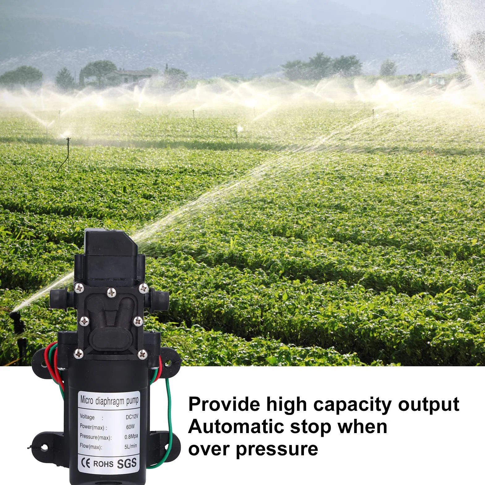 Pompe à Diaphragme 12 V, 60 W 5 L/min 0,8 MPa Pompe de Pulvérisateur Auto-amorçante à Grand Débit avec Arrêt et Démarrage Automatiques, Pompe de Surpression D'eau pour Irrigation de Jardin, Piscines