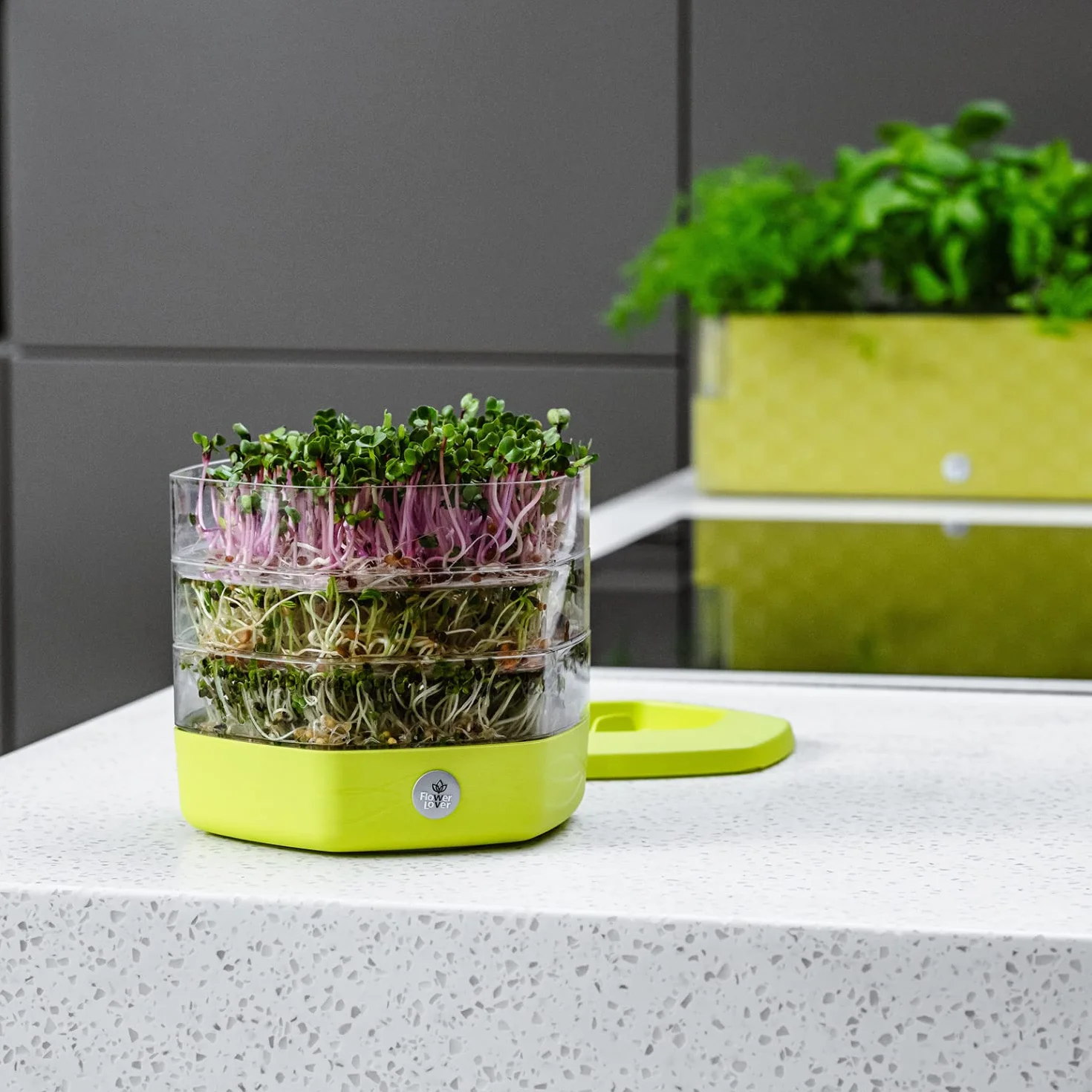 Flower Lover Germoir pour Graines à Germer et Micro-pousses - Microgreens Coupelle de Germination à 3 Étages - Set de 3 Bacs de Germination en Plastique, 17 cm (Avocat)