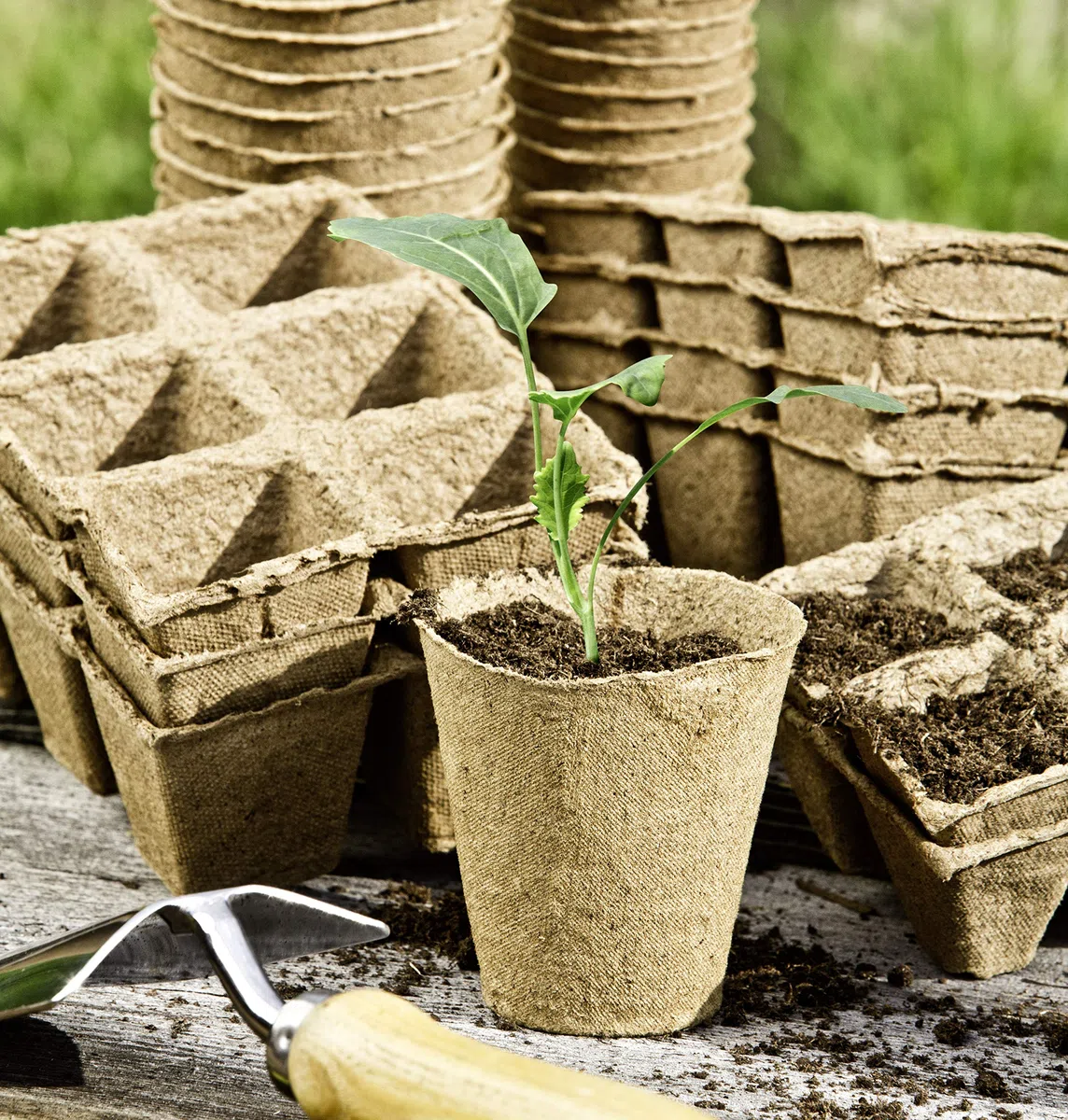 Lot de 48 Pots de Culture Ronds de 8 cm
